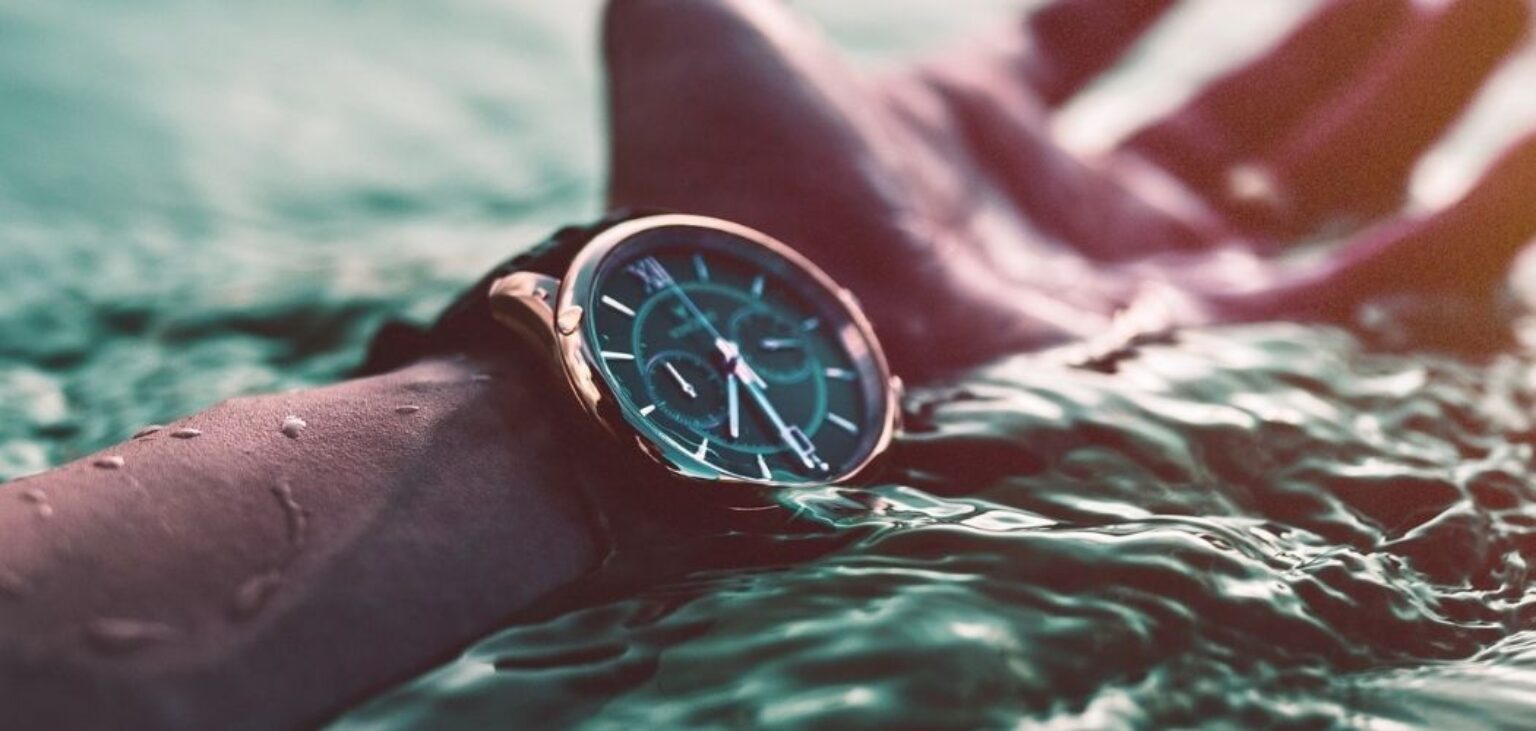 12 Best Dive Watches Under 1000 Timecutie